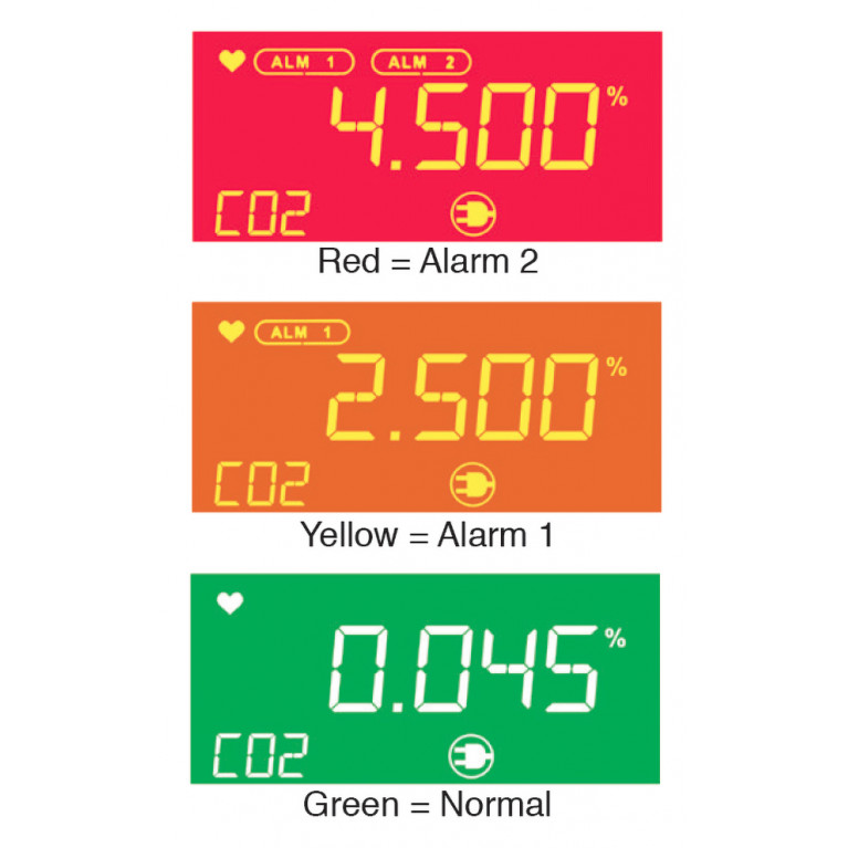 Монитор углекислого газа RKI Instruments RI-600