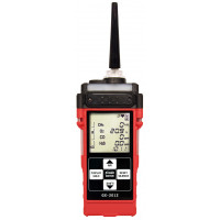 Детектор газа RKI Instruments GX-2012