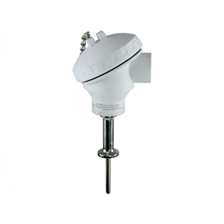 Гигиенический термометр E+H iTHERM TM402